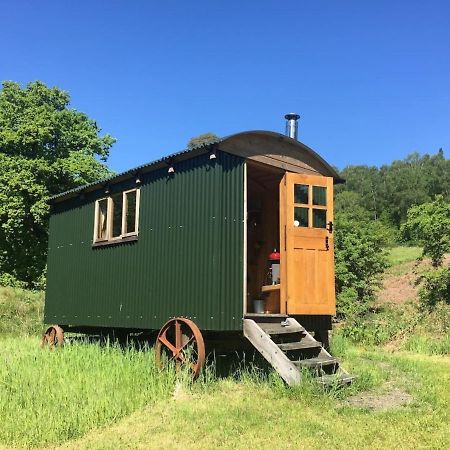 Cosy Woodland Off Grid Shepherds Hut - Rowan Villa Castle Douglas Eksteriør billede
