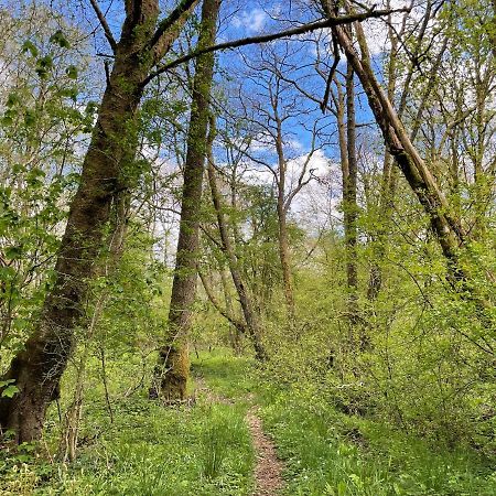 Cosy Woodland Off Grid Shepherds Hut - Rowan Villa Castle Douglas Eksteriør billede