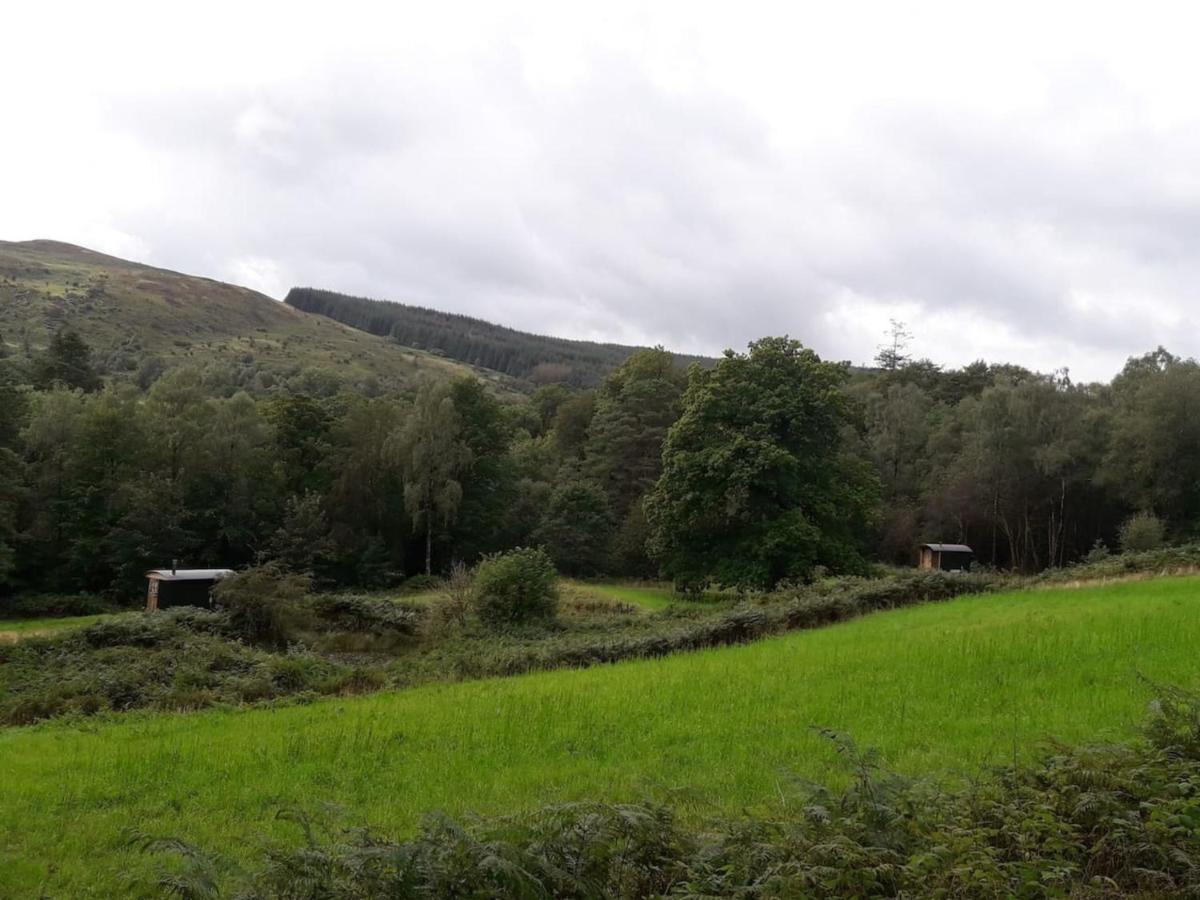 Cosy Woodland Off Grid Shepherds Hut - Rowan Villa Castle Douglas Eksteriør billede