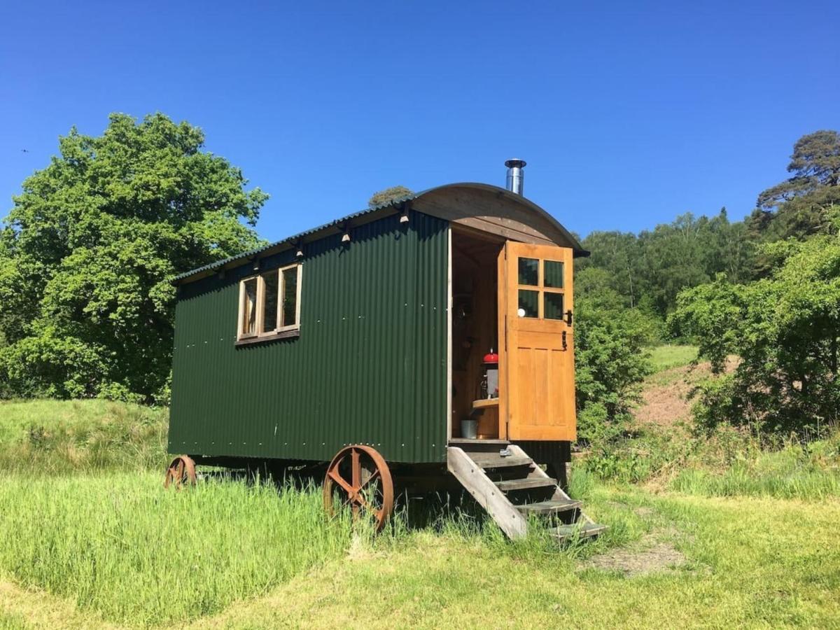 Cosy Woodland Off Grid Shepherds Hut - Rowan Villa Castle Douglas Eksteriør billede