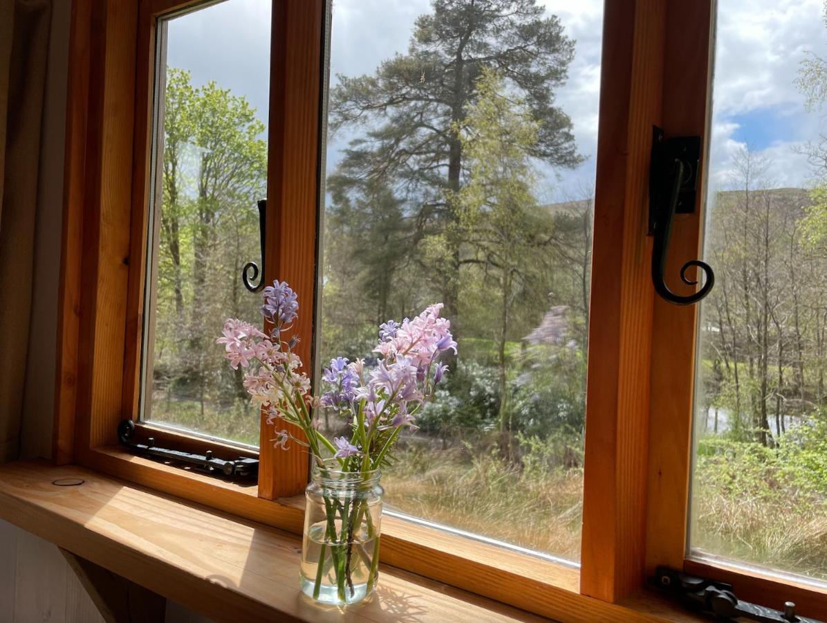Cosy Woodland Off Grid Shepherds Hut - Rowan Villa Castle Douglas Eksteriør billede
