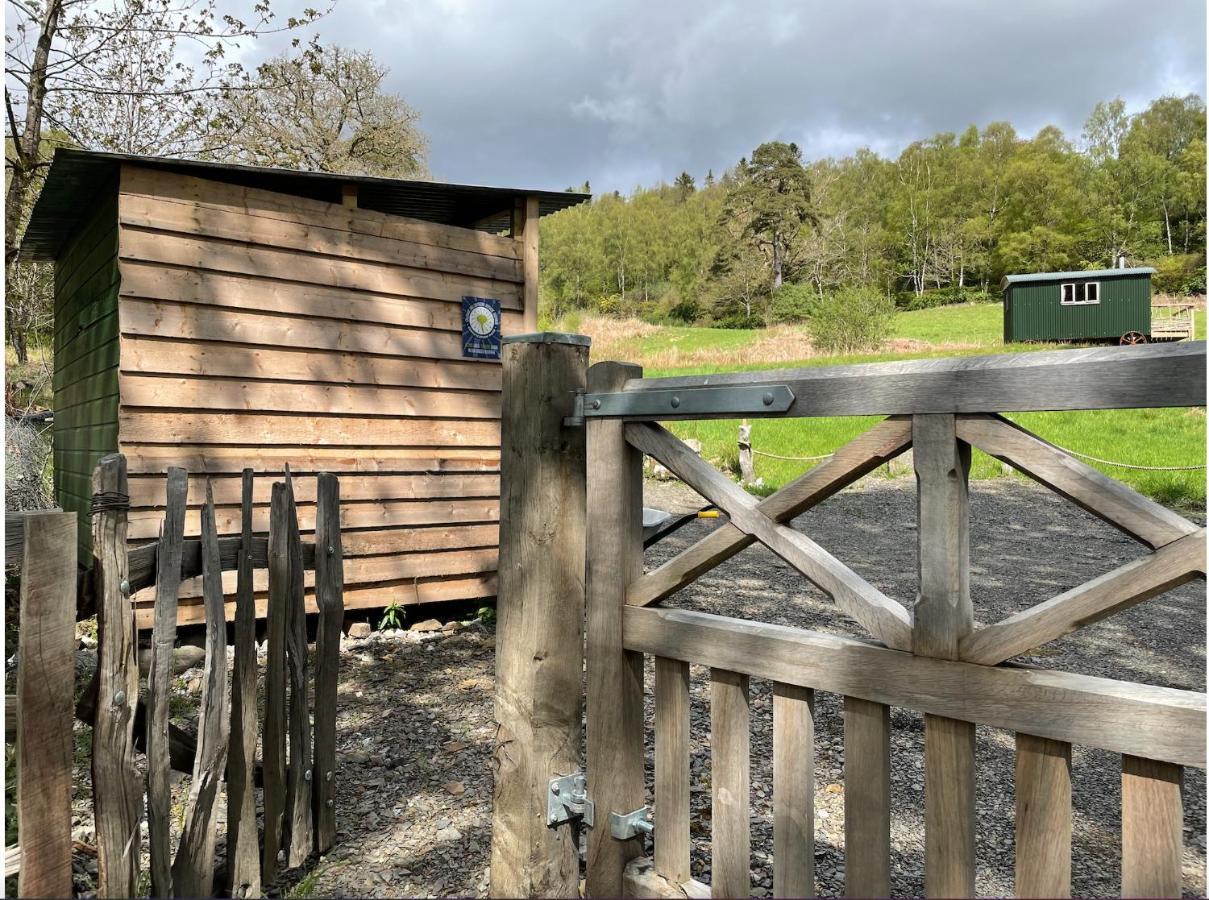 Cosy Woodland Off Grid Shepherds Hut - Rowan Villa Castle Douglas Eksteriør billede