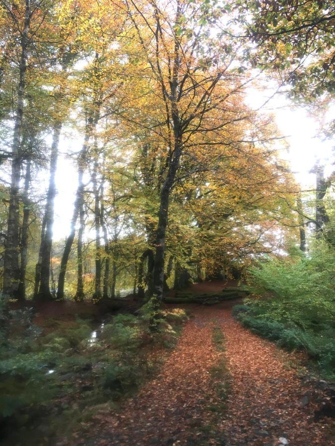 Cosy Woodland Off Grid Shepherds Hut - Rowan Villa Castle Douglas Eksteriør billede