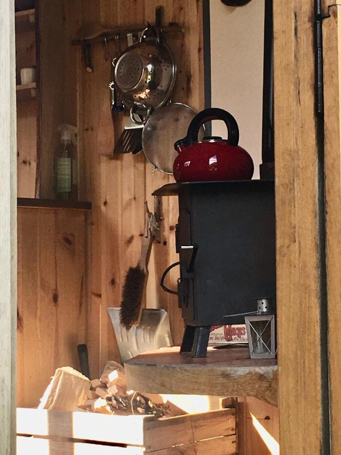 Cosy Woodland Off Grid Shepherds Hut - Rowan Villa Castle Douglas Eksteriør billede